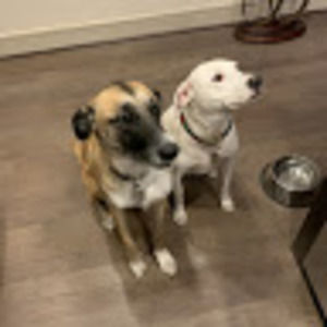 Meet your Posher, Mary